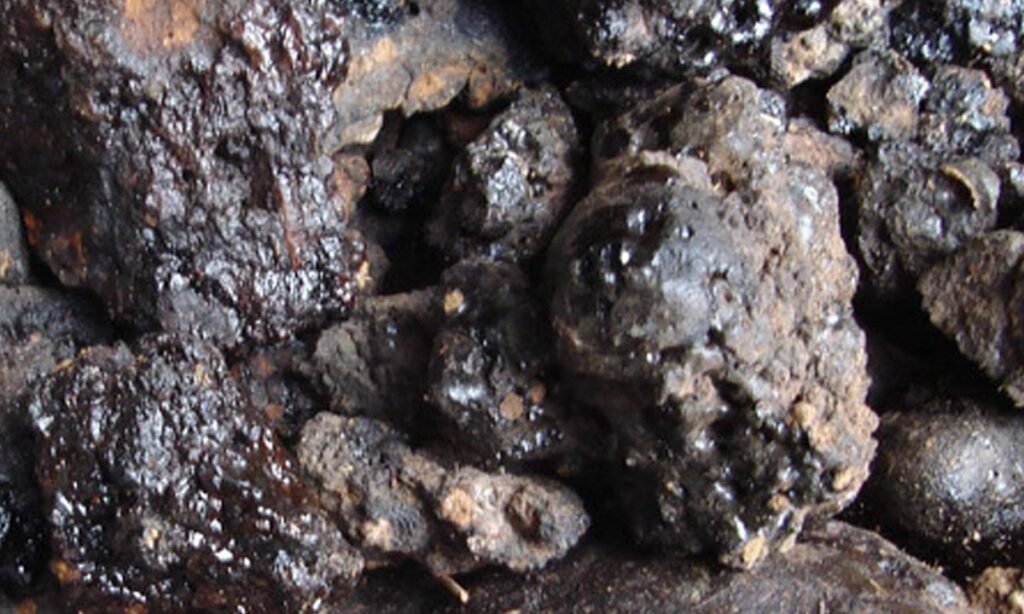 Shilajit resin